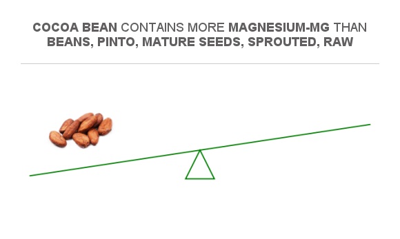 Compare Magnesium In Cocoa Bean To Magnesium In Beans Pinto Mature