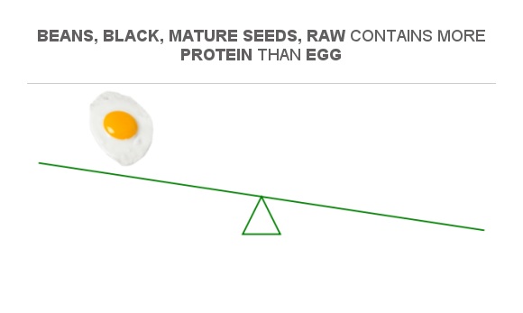 Compare Protein In Egg To Protein In Beans Black Mature Seeds Raw