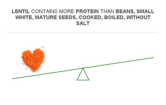 Compare Protein In Lentil To Protein In Beans Small White Mature