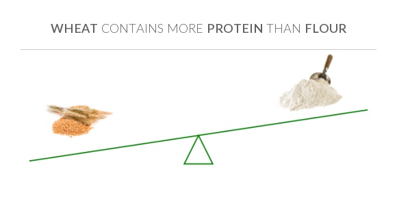 Compare Protein In Wheat To Protein In Flour