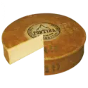Ֆոնտինա պանիր