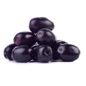 Java plum