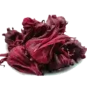 Roselle (Hibiscus sabdariffa)