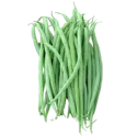 Green bean raw