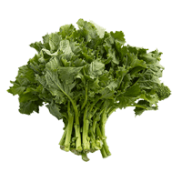 Rapini