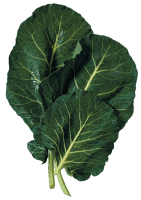 Collard Greens