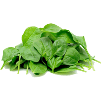 Spinach