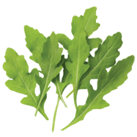 Arugula