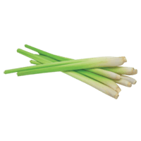 Lemongrass