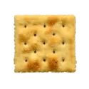 Saltine cracker (includes oyster, soda, soup)