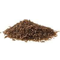 Wild rice