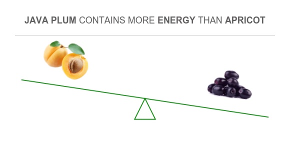 Java Nutrient Chart Compare Calories in Apricot to Calories in Java plum
