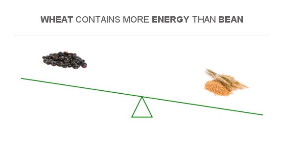 Compare Calories in Beans to Calories in Wheat