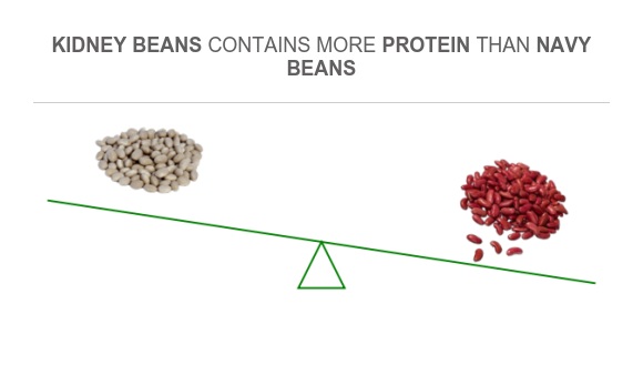 Compare Protein in Navy beans to Protein in Kidney beans