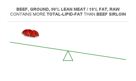 Compare Fats in Beef sirloin to Fats in Beef, ground, 90% lean meat ...