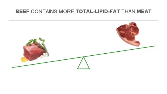 Compare Fats In Beef To Fats In Meat 9767