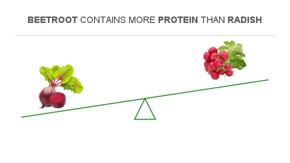 Compare Protein In Beetroot To Protein In Radish 