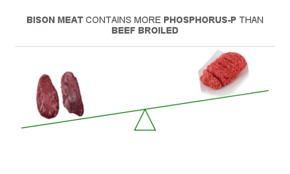 Compare Phosphorus in Bison meat to Phosphorus in Beef broiled