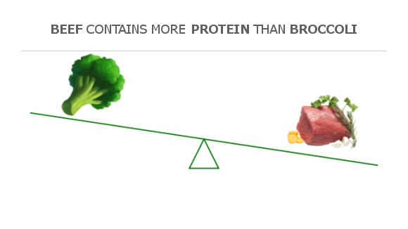 Compare Protein in Broccoli to Protein in Beef