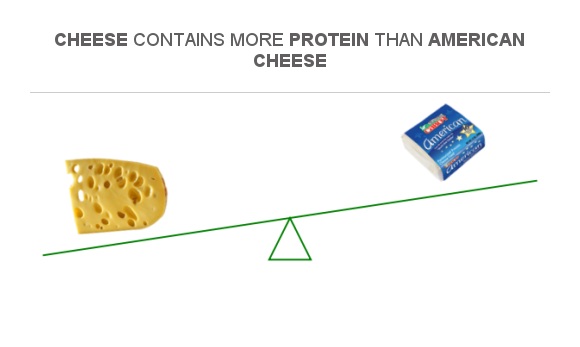 Compare Protein In Cheese To Protein In American Cheese