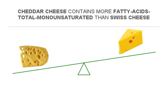 Compare Monounsaturated Fat In Cheddar Cheese To Monounsaturated Fat In ...