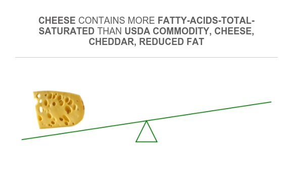 Compare Saturated fat in Cheese to Saturated fat in USDA Commodity ...