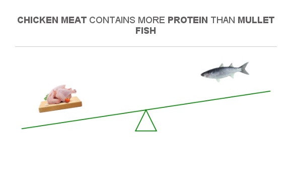 is fish a better source of protein than meat
