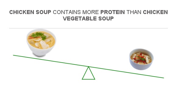is chicken soup a good source of protein