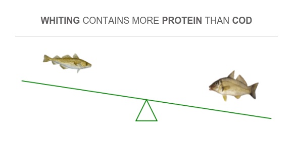 Compare Protein in Cod to Protein in Whiting