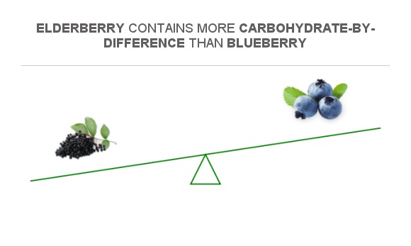 Compare Carbs In Elderberry To Carbs In Blueberry