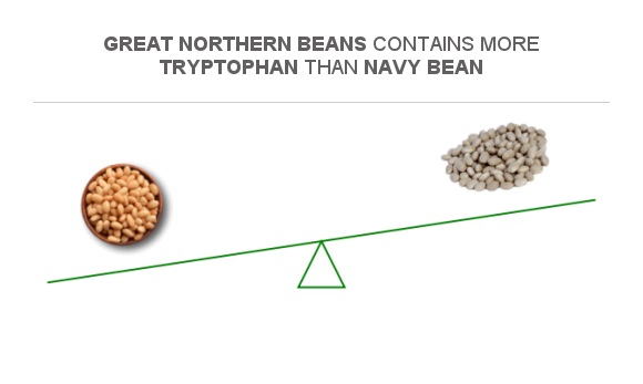 Compare Tryptophan in Great northern beans to Tryptophan in Navy beans