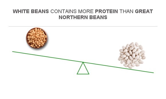 Compare Protein in Great northern beans to Protein in White beans