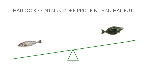 Compare Protein in Haddock to Protein in Halibut