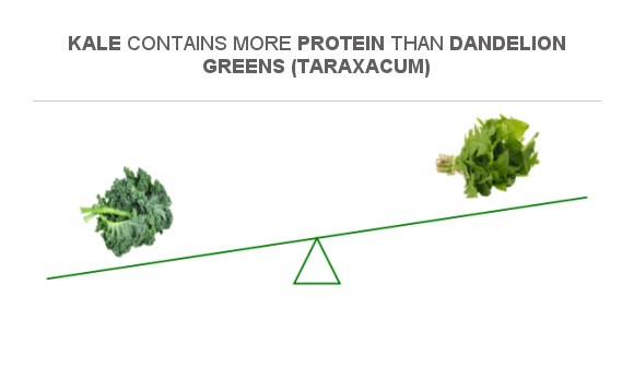 Compare Protein in Kale to Protein in Dandelion greens