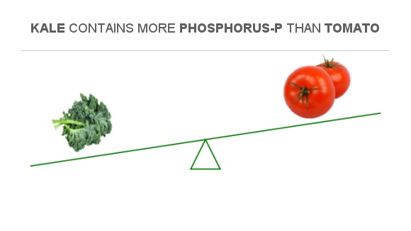 Compare Phosphorus in Kale to Phosphorus in Tomato