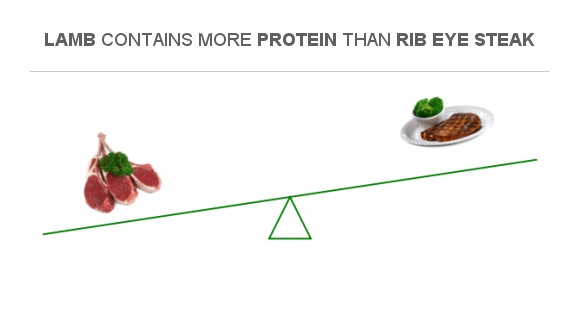 How Much Protein In A Rib Eye
