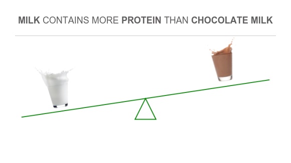 Does Chocolate Milk Have More Protein Than Regular Milk