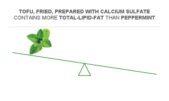Compare Fats in Peppermint to Fats in Tofu, fried, prepared with