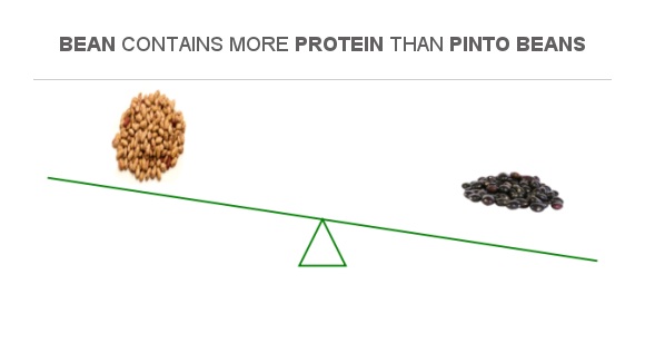 are pinto beans a source of protein