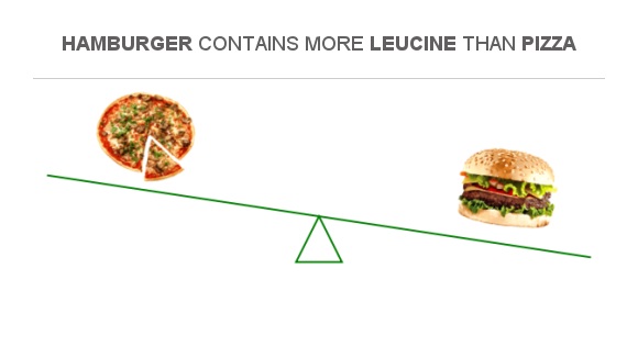 Compare Leucine in Pizza to Leucine in Hamburger