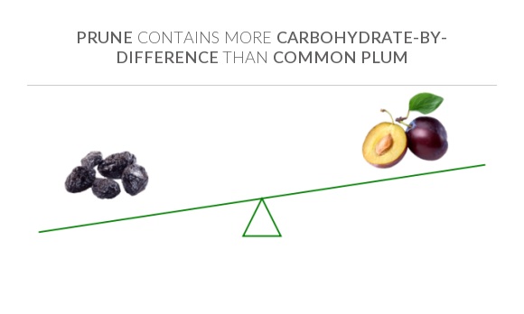 Compare Carbs in Prunes to Carbs in Plum