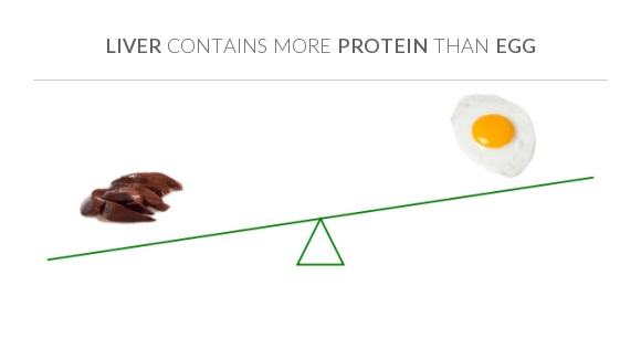 Compare Protein In Liver To Protein In Egg