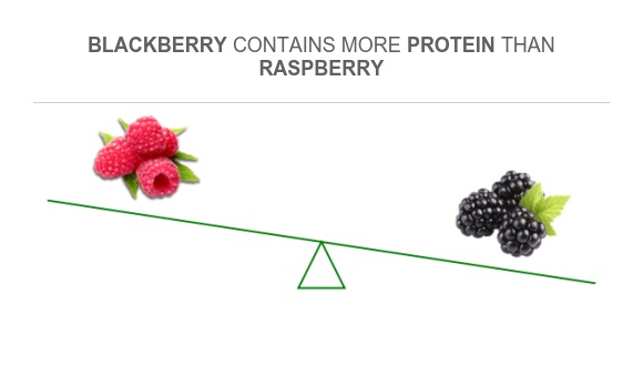 Proteini Si Raspberry Compare Protein in Raspberry to Protein in Blackberry