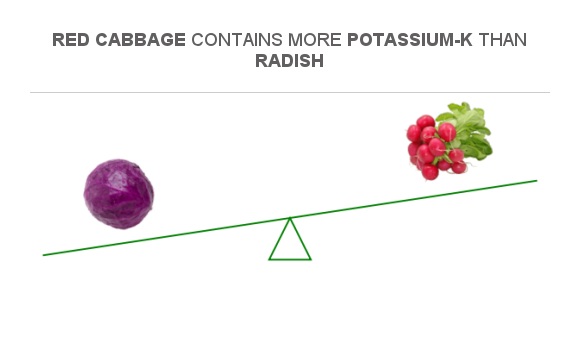 Compare Potassium in Red cabbage to Potassium in Radish