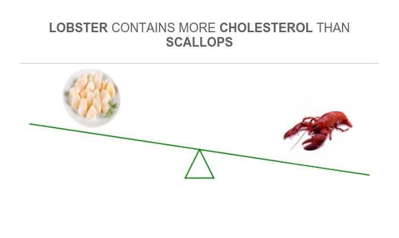 Compare Cholesterol in Scallops to Cholesterol in Lobster