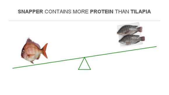 Beyond The Bite Snapper And Tilapia A Comprehensive Comparison - di231wz