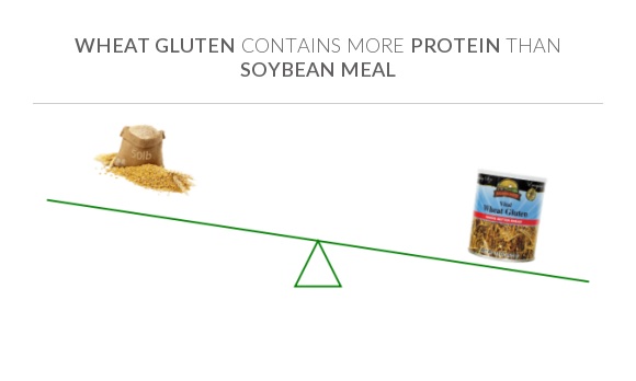 compare-protein-in-soybean-meal-to-protein-in-wheat-gluten