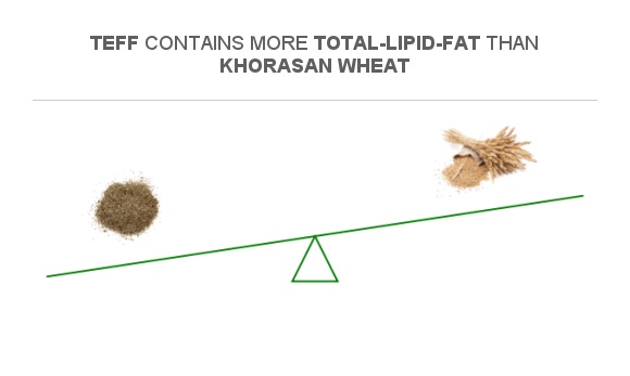 Compare Fats in Teff to Fats in Khorasan wheat