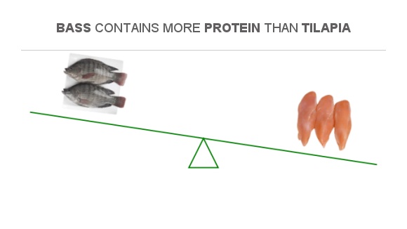 is tilapia fish a good source of protein