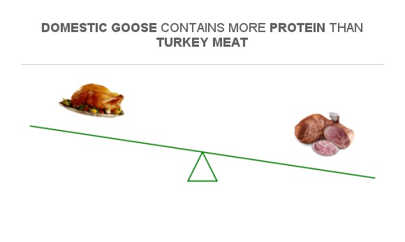 Compare Protein In Turkey Meat To Protein In Domestic Goose